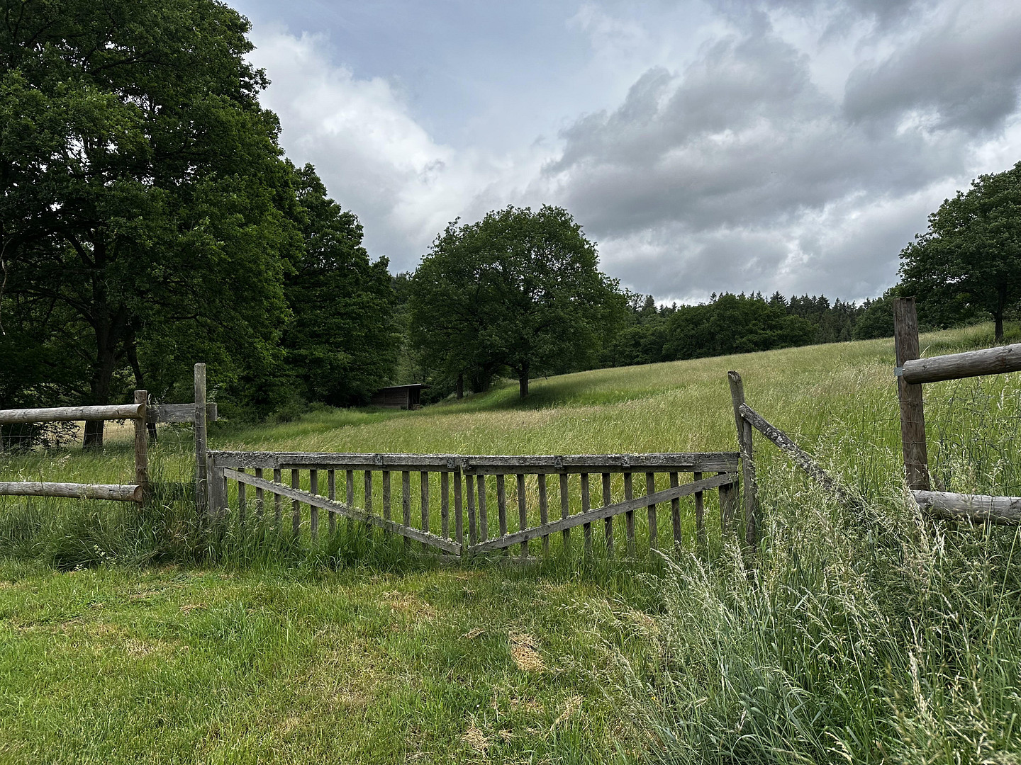 Naturidylle in Alleinlage, 4,7 ha – 55481 Kirchberg – Vorschaubild 19