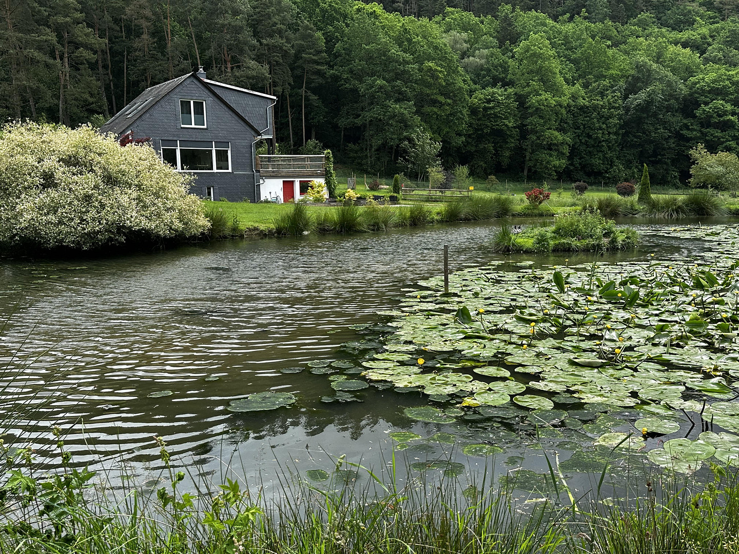 Naturidylle in Alleinlage, 4,7 ha – 55481 Kirchberg – Vorschaubild 25