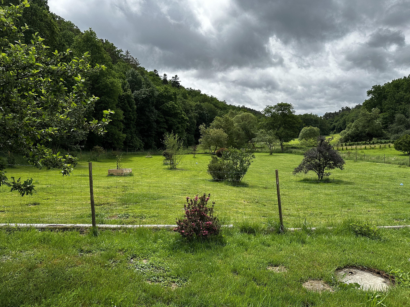 Naturidylle in Alleinlage, 4,7 ha – 55481 Kirchberg – Vorschaubild 24