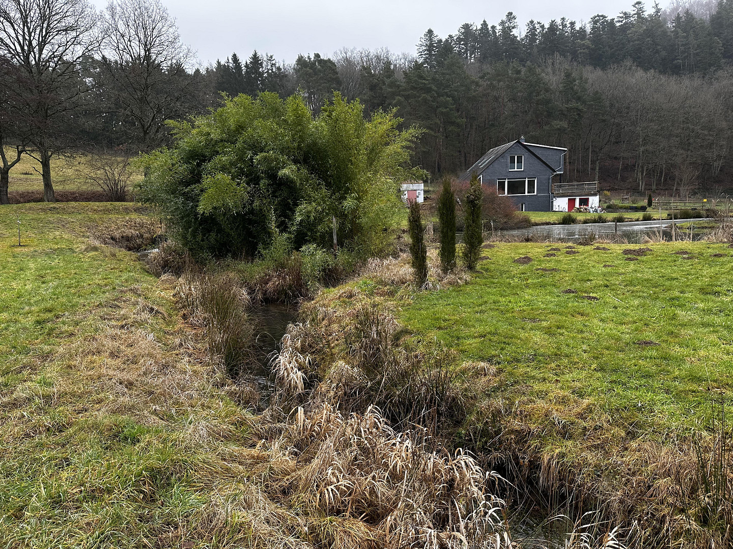 Naturidylle in Alleinlage, 4,7 ha – 55481 Kirchberg – Vorschaubild 22