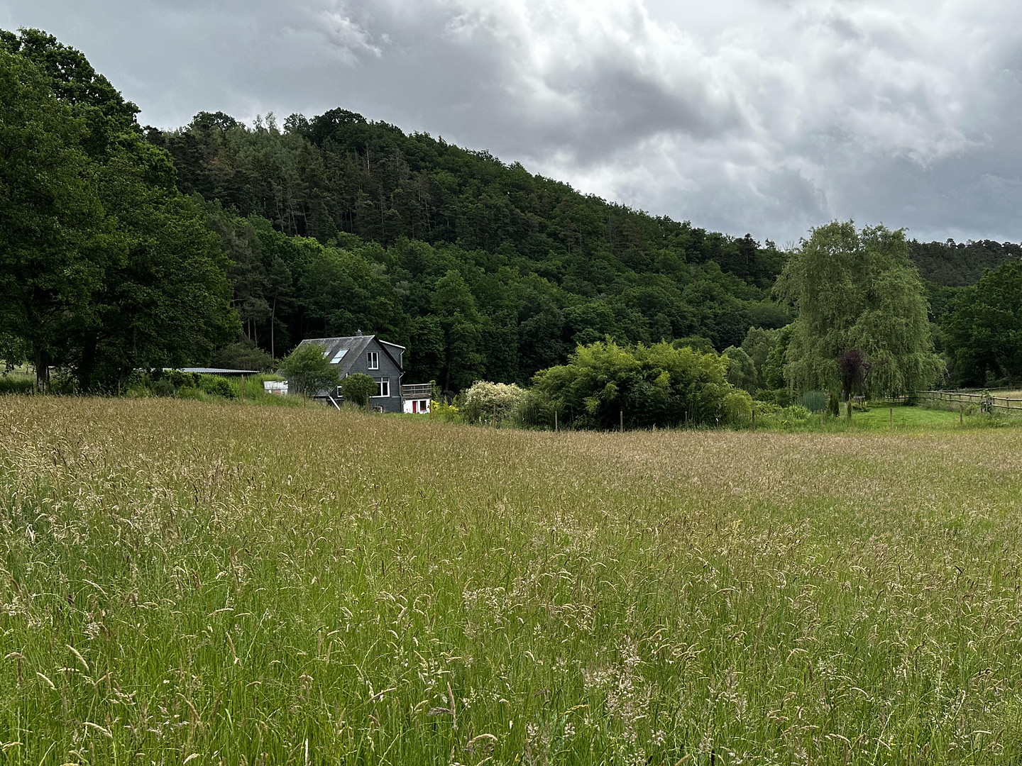 Naturidylle in Alleinlage, 4,7 ha – 55481 Kirchberg – Vorschaubild 23