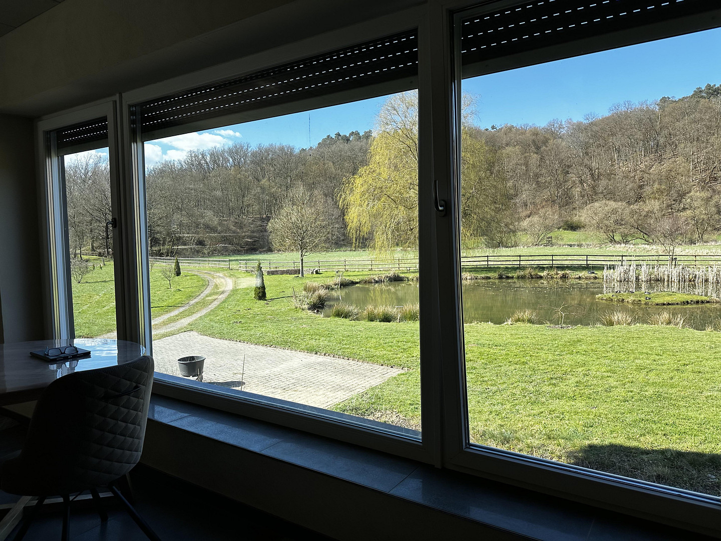 Naturidylle in Alleinlage, 4,7 ha – 55481 Kirchberg – Vorschaubild 6