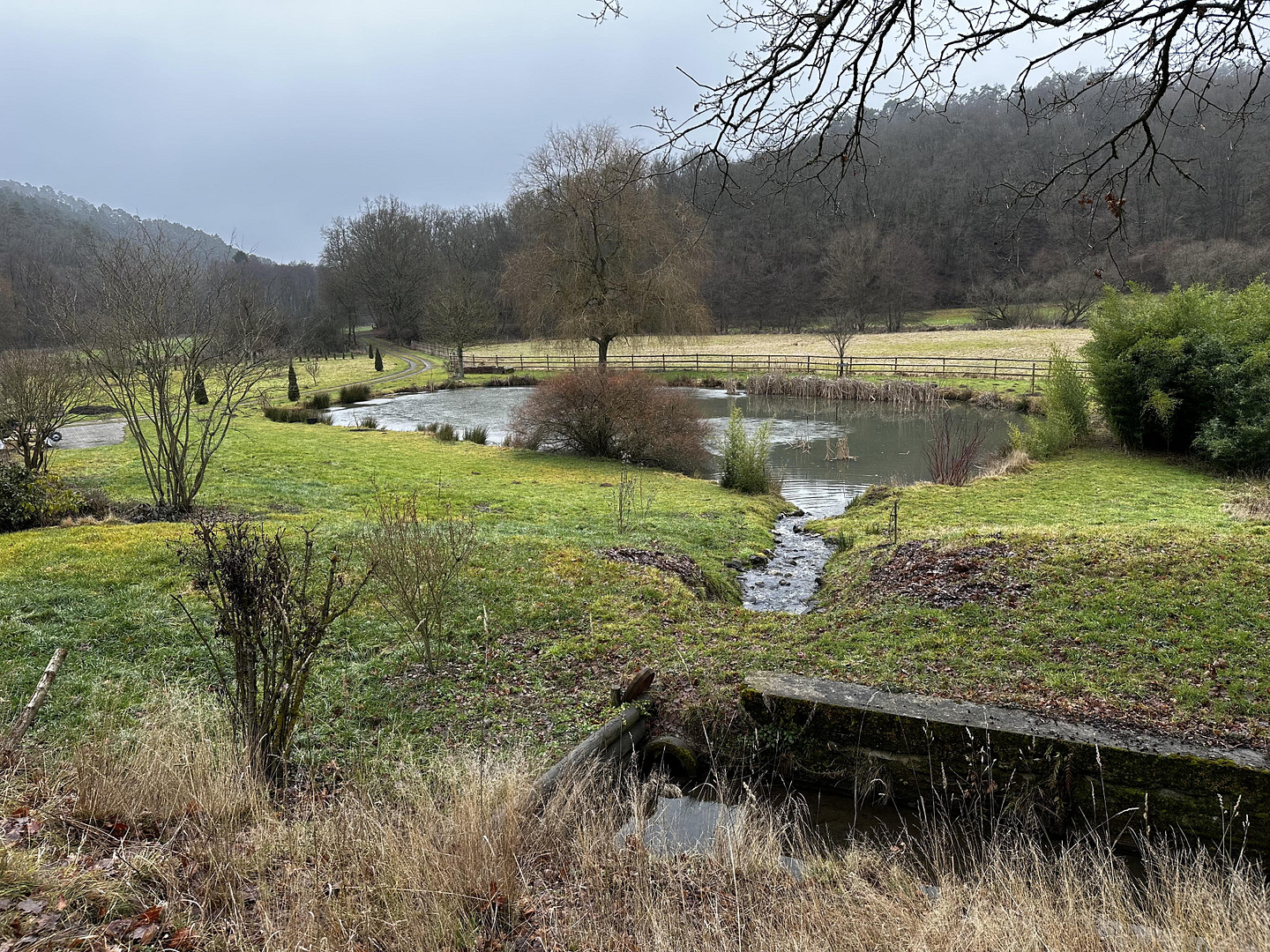 Naturidylle in Alleinlage, 4,7 ha – 55481 Kirchberg – Vorschaubild 21