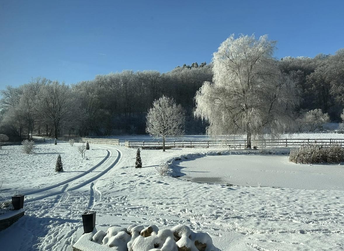 Naturidylle in Alleinlage, 4,7 ha – 55481 Kirchberg – Vorschaubild 29