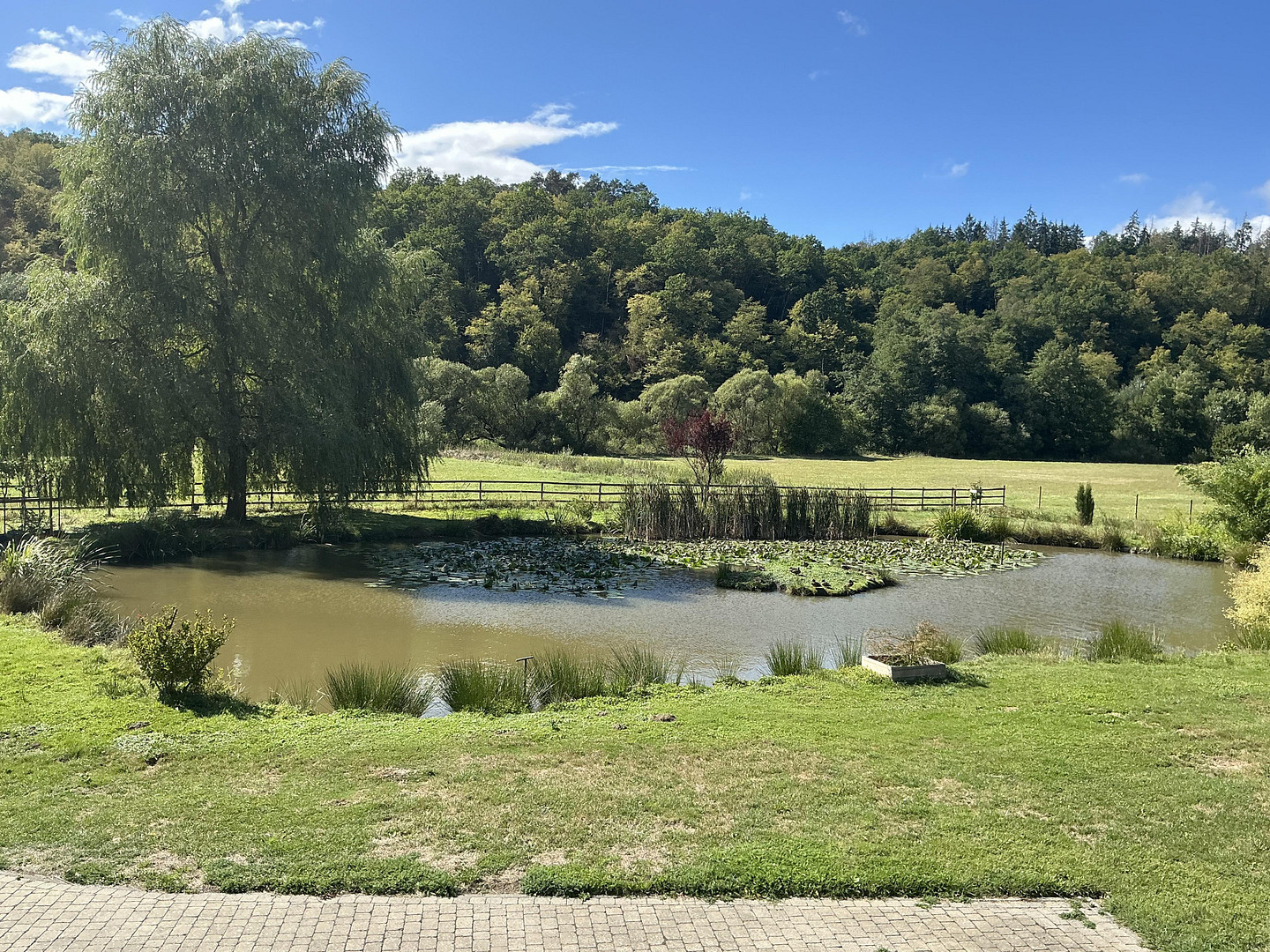 Naturidylle in Alleinlage, 4,7 ha – 55481 Kirchberg – Vorschaubild 27
