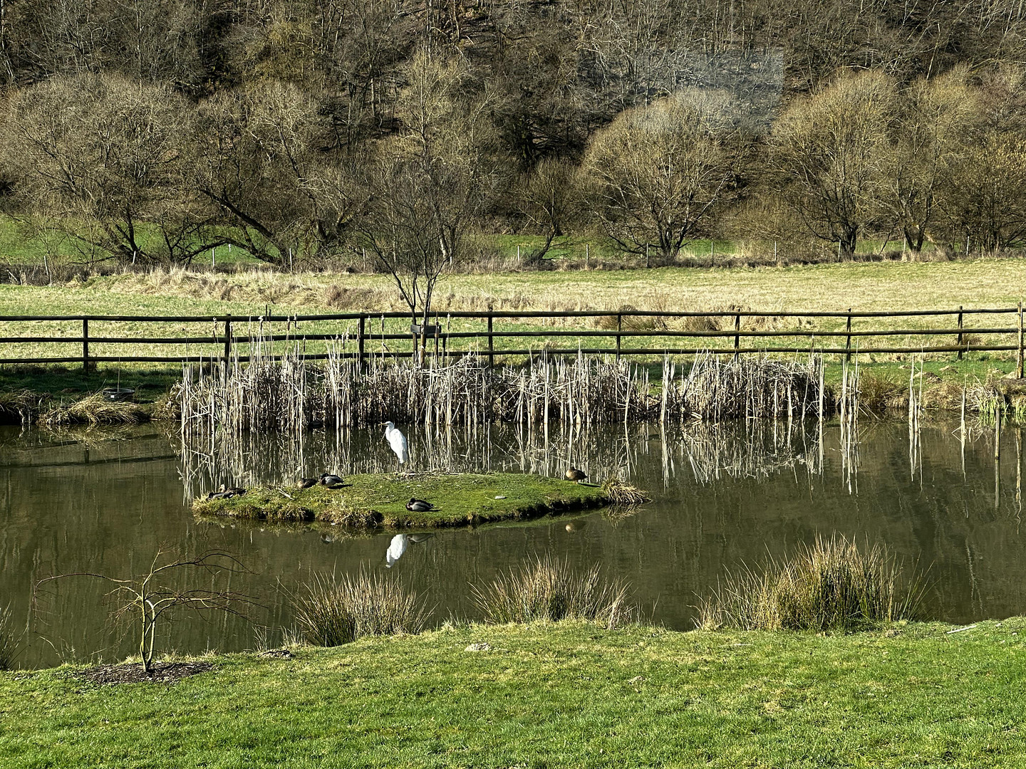 Naturidylle in Alleinlage, 4,7 ha – 55481 Kirchberg – Vorschaubild 26
