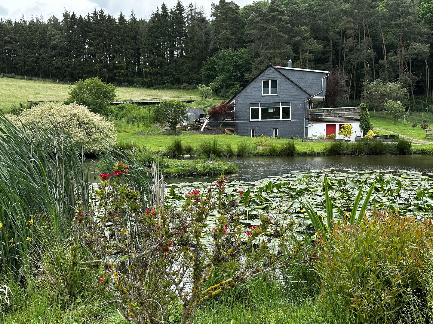 Naturidylle in Alleinlage, 4,7 ha – 55481 Kirchberg – Vorschaubild 2