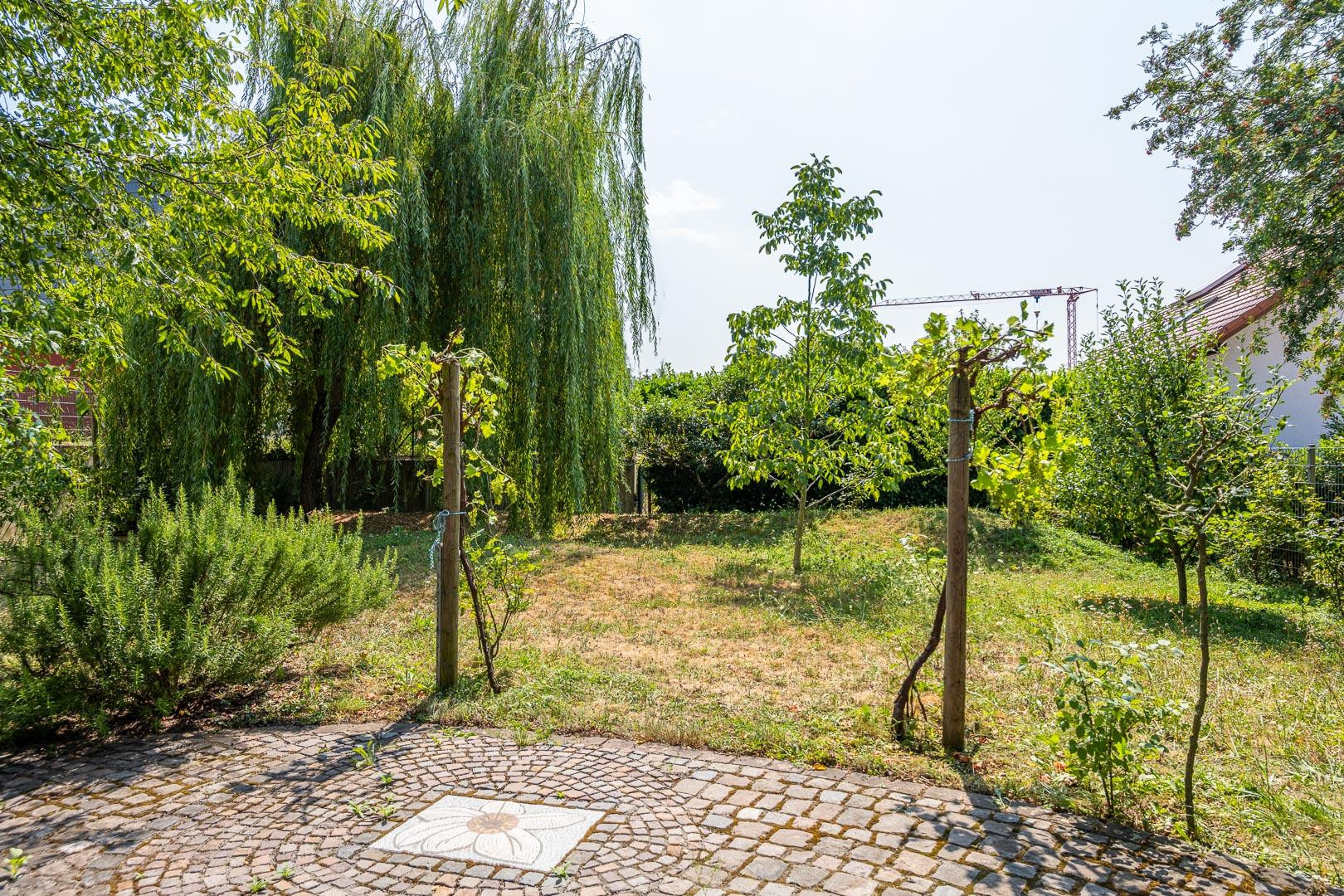 Wohnen mit Weitblick –  Gepflegtes Zweifamilienhaus mit parkähnlichem Südgarten und Panoramablick – 76684 Östringen – Vorschaubild 17