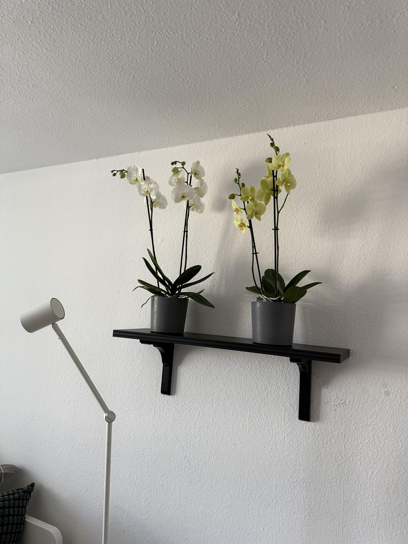 Stilvolle 1-Zimmer-Wohnung mit gehobener Innenausstattung mit Balkon und EBK in München Berg am Laim – 81673 München(Berg am Laim) – Vorschaubild 13