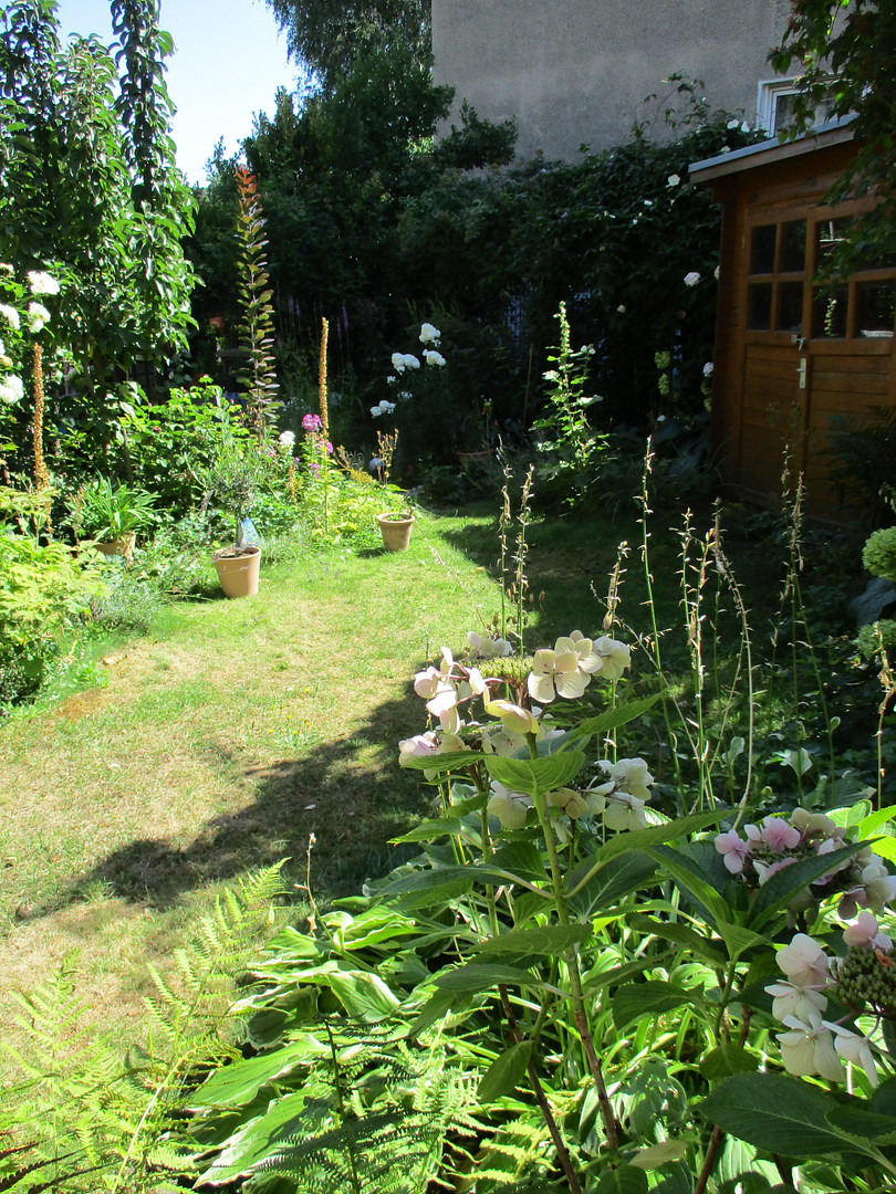 Charmante Altbauwohnung mit Garten im Herzen der Stadt