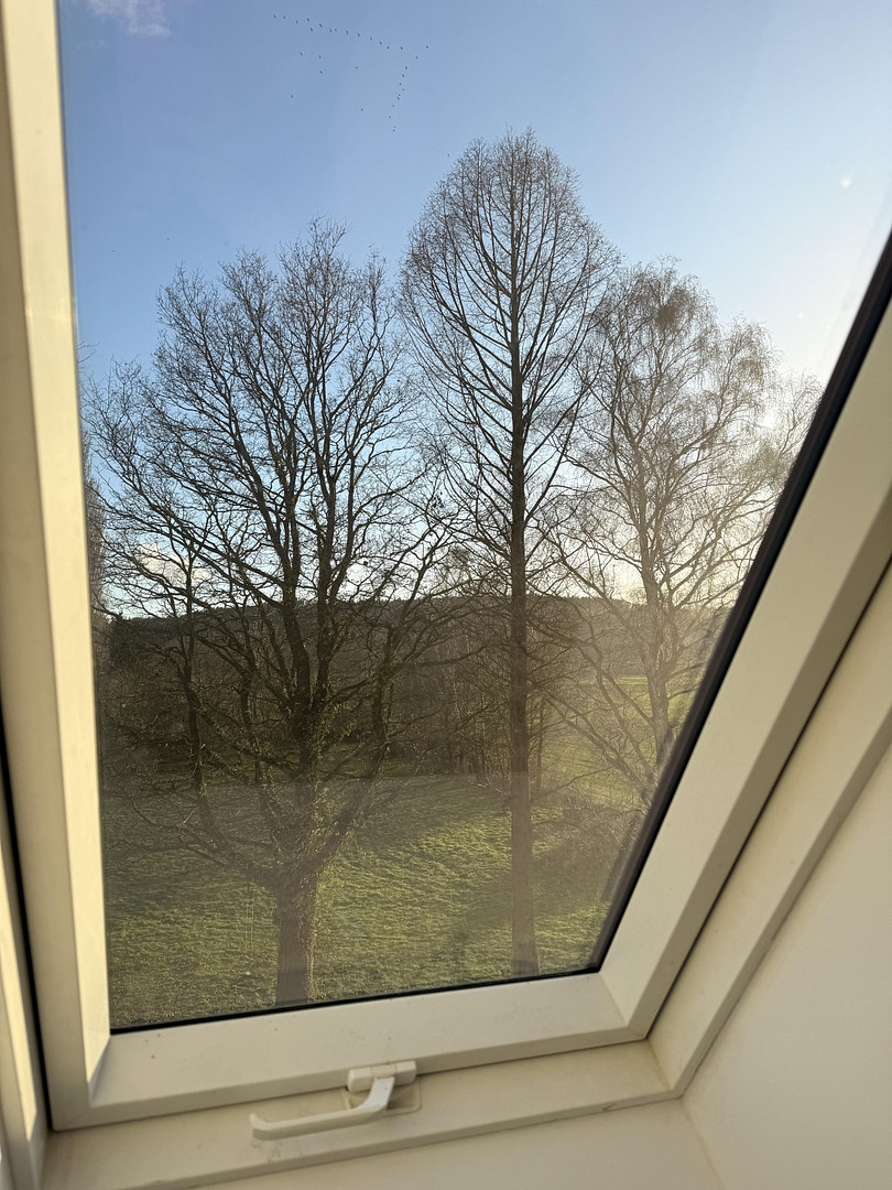 Landhaus-Villa der Extraklasse: Exklusives Refugium auf 5.245 m² Parkgrundstück in Bad Essen – 49152 Bad Essen – Vorschaubild 48
