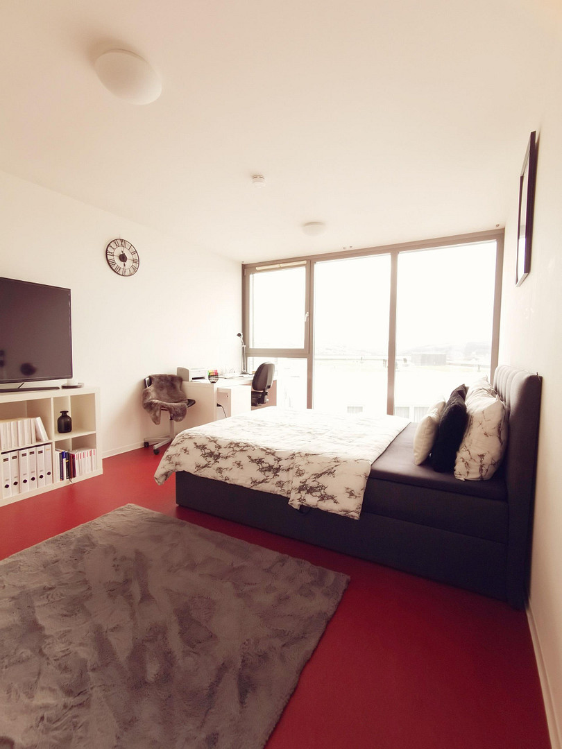 Sonniges 1-Zimmer-Apartment direkt an der Uni mit Top-Ausstattung – 54296 Trier(Tarforst) – Vorschaubild 2