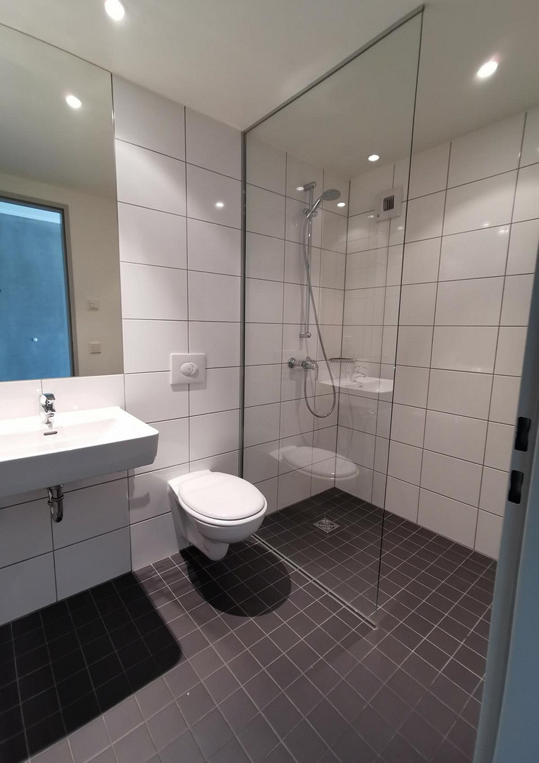 Sonniges 1-Zimmer-Apartment direkt an der Uni mit Top-Ausstattung – 54296 Trier(Tarforst) – Vorschaubild 4