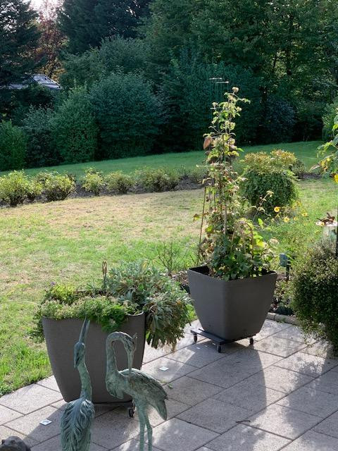 Schöne barrierefreie Terrassenwohnung – 42659 Solingen – Vorschaubild 3