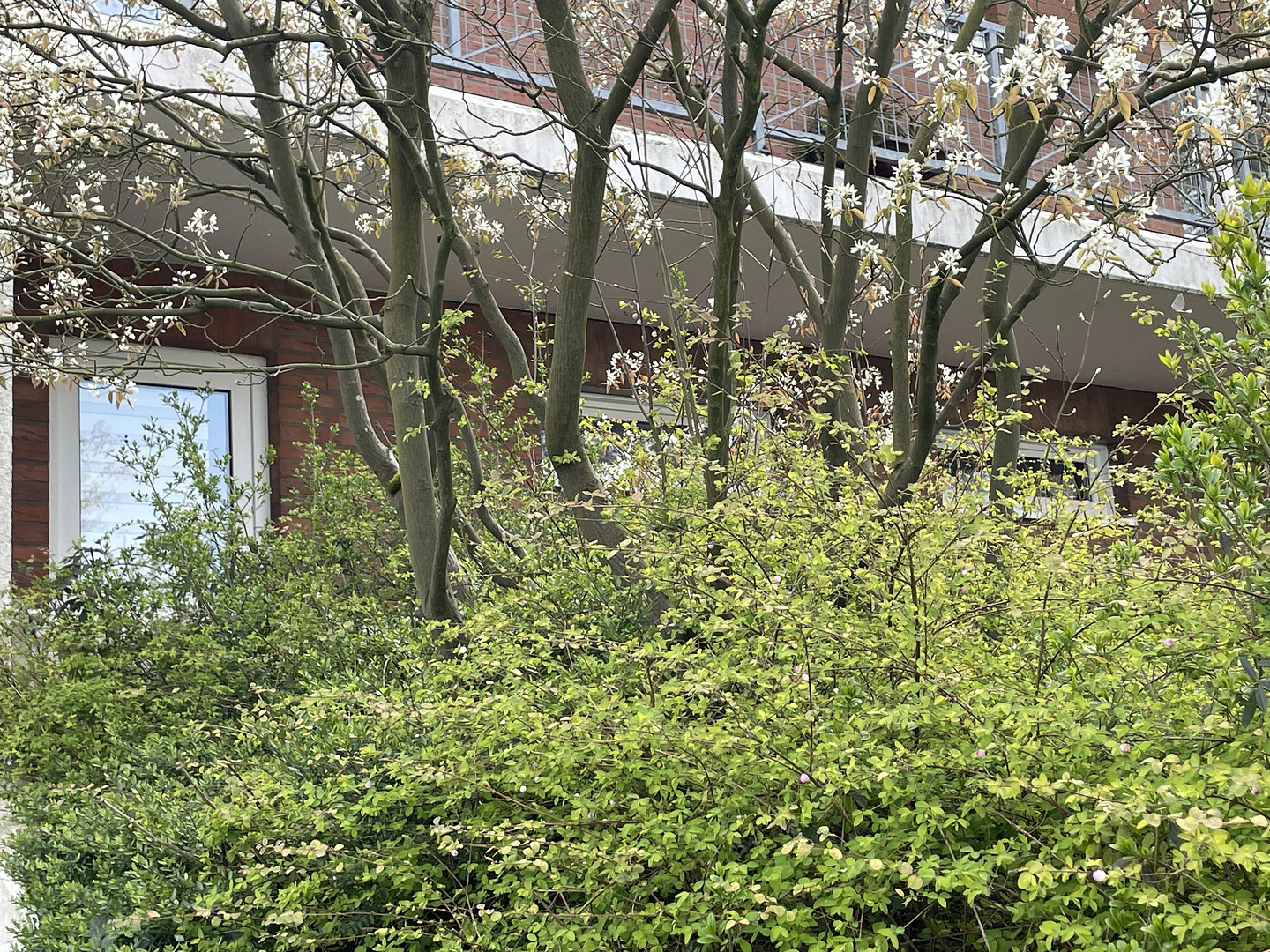 Wohngefühl mit Terrassen- und Garagenkomfort - ohne Provision – 40470 Düsseldorf(Mörsenbroich) – Vorschaubild 7