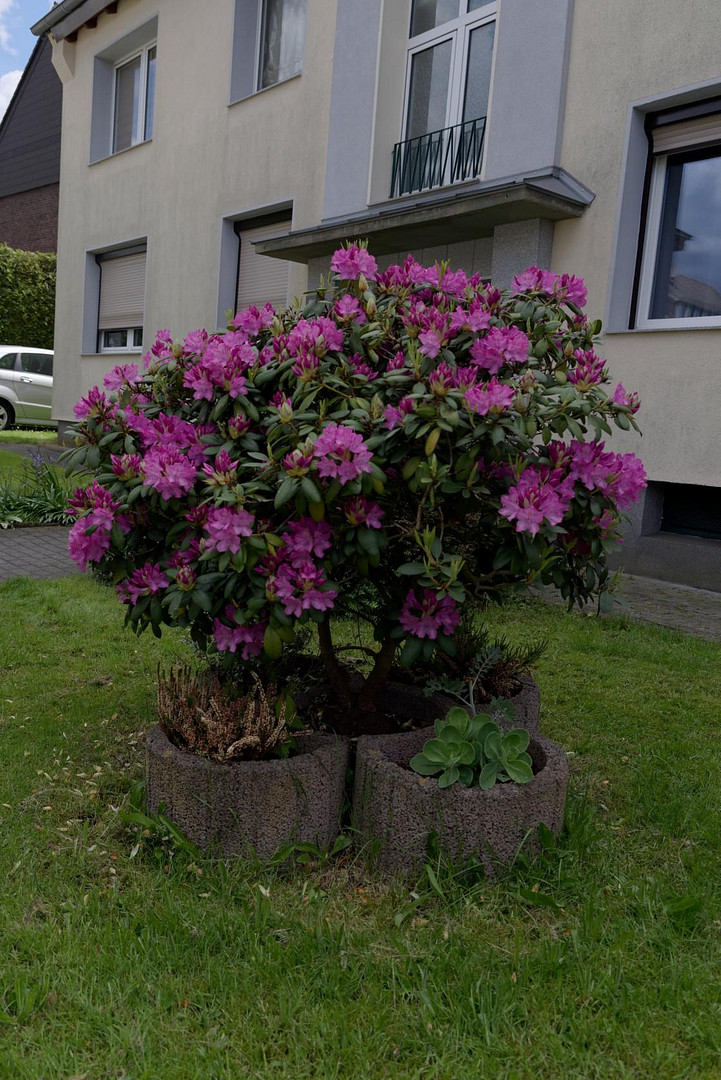 Lichtdurchflutete 4-Zimmerwohnung in OB-Sterkrade/Alsfeld – Energetischer Top-Zustand! – 46149 Oerhausen(Sterkrade) – Vorschaubild 32