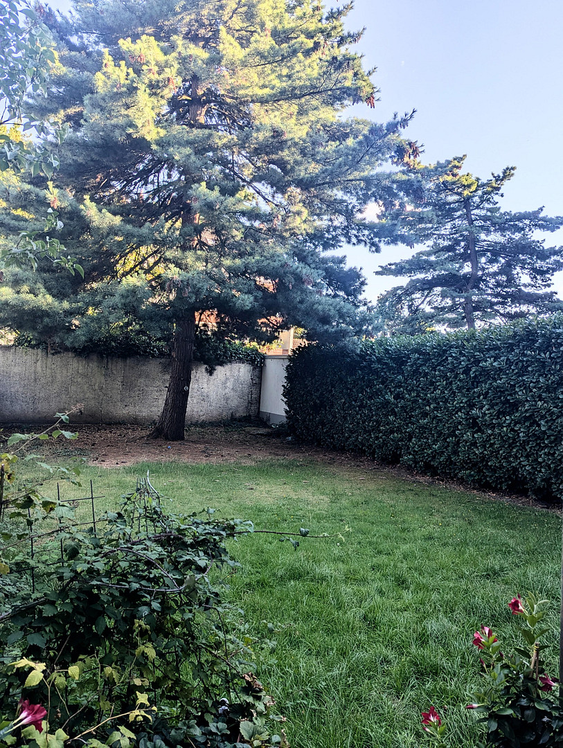 Charmante 1-Zimmer-Altbauwohnung mit eigener Terrasse und Garten in Düsseldorf-Eller – 40229 Düsseldorf(Eller) – Vorschaubild 13