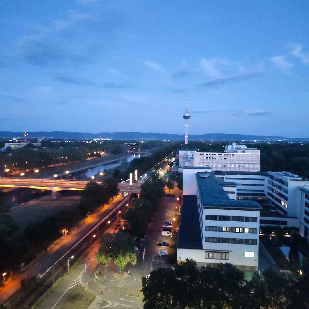 Stilvolles Wohnen mit Panoramablick – Frisch renoviert & komplett neu möbliert – 68161 Mannheim – Vorschaubild 8