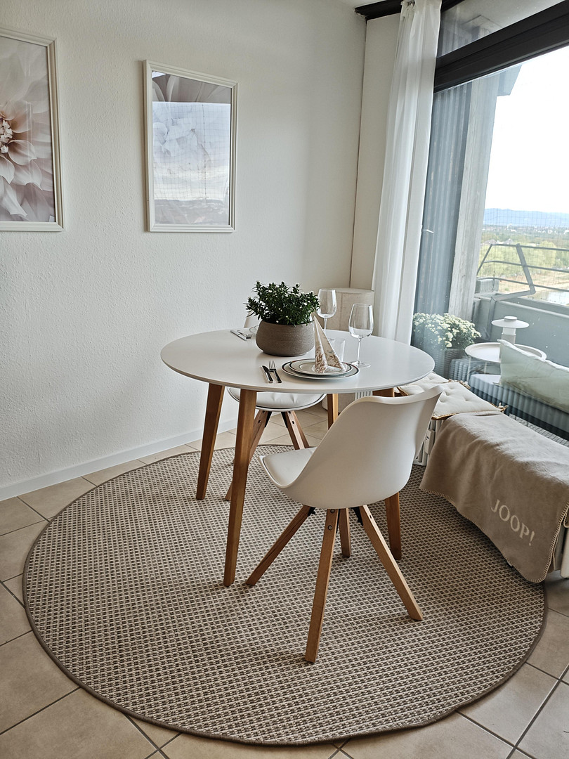 Stilvolles Wohnen mit Panoramablick – Frisch renoviert & komplett neu möbliert – 68161 Mannheim – Vorschaubild 5