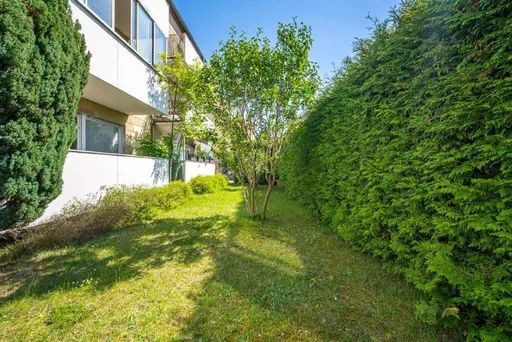 Dein möbliertes Zimmer zum Ankommen und Wohlfühlen I Pachemstraße 9, München – Pachemstraße 9, 81673 München(Berg am Laim) – Vorschaubild 7