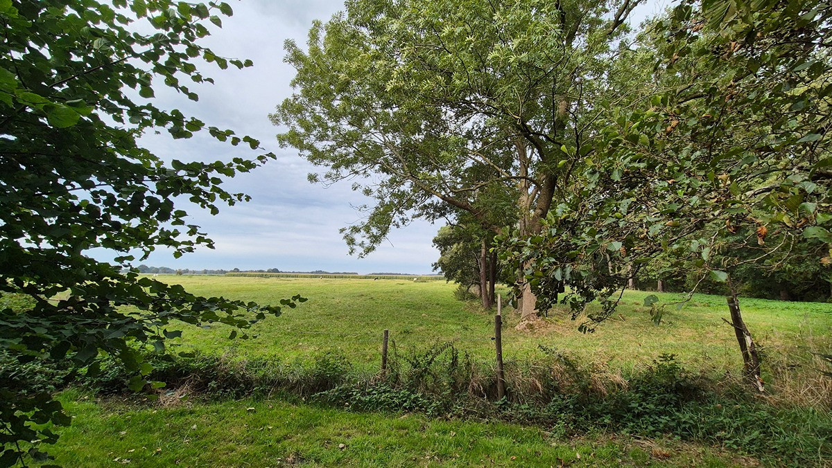 Schöner Resthof in Top Lage – Norderwesterseite 75, 21775 Steinau – Vorschaubild 25