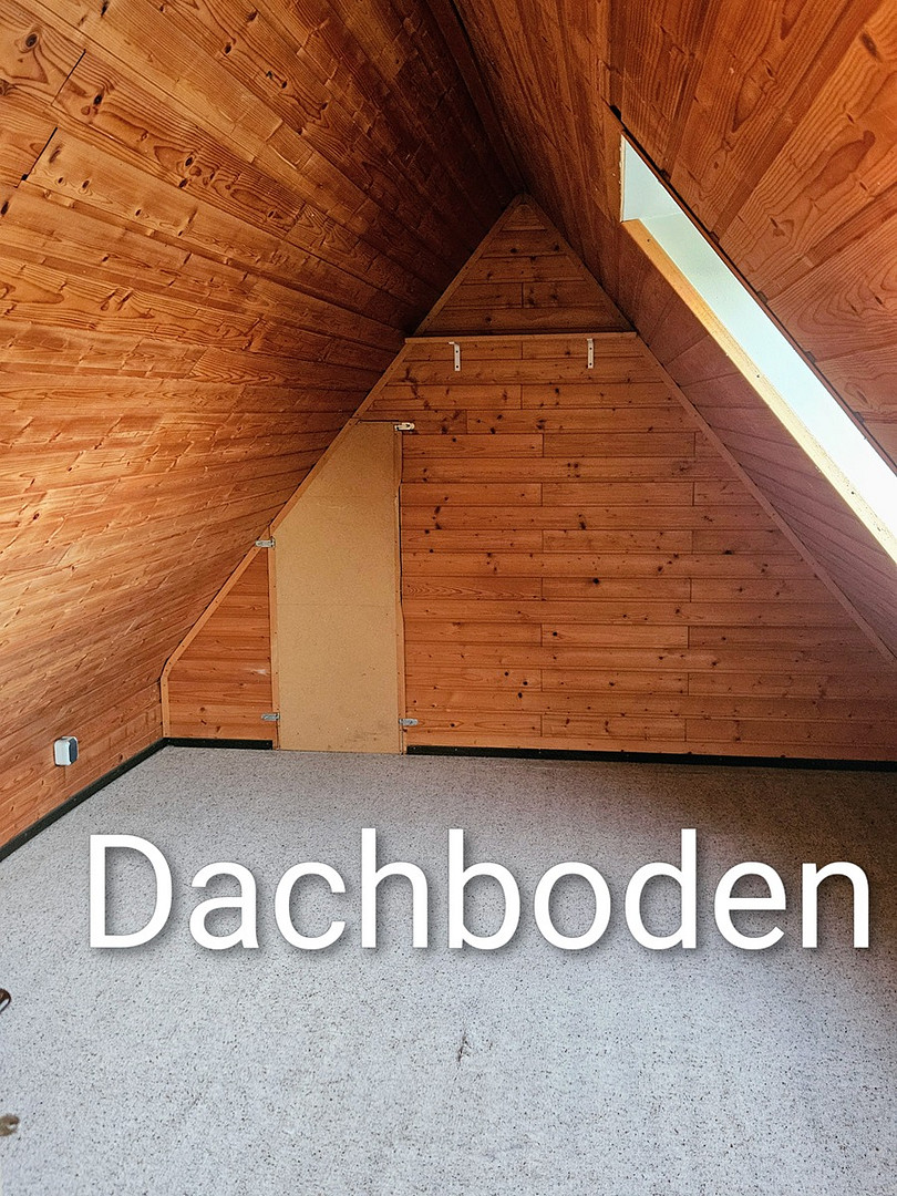 Großes Anwesen, Haus mit Einliegerwohnung, ideal für Pferde/Hunde/Tierhaltung geeignet – Diepenau – Vorschaubild 9