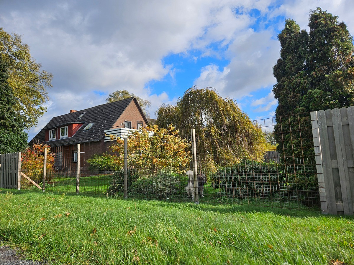 Großes Anwesen, Haus mit Einliegerwohnung, ideal für Pferde/Hunde/Tierhaltung geeignet