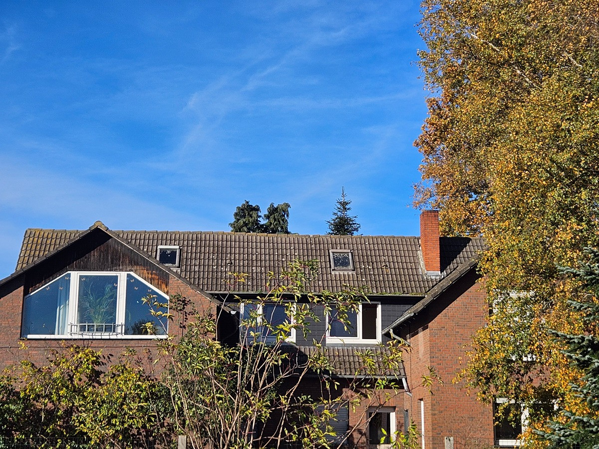 Großes Anwesen, Haus mit Einliegerwohnung, ideal für Pferde/Hunde/Tierhaltung geeignet – Diepenau – Vorschaubild 11