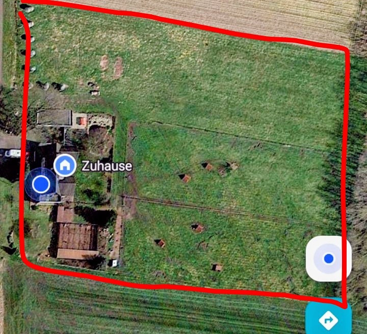 Großes Anwesen, Haus mit Einliegerwohnung, ideal für Pferde/Hunde/Tierhaltung geeignet – Diepenau – Vorschaubild 10