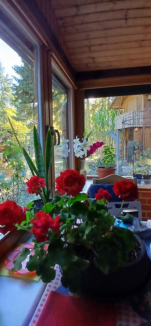 Haus im Wald bei Bienenbüttel auf Eigentumsland – Bienenbüttel – Vorschaubild 11
