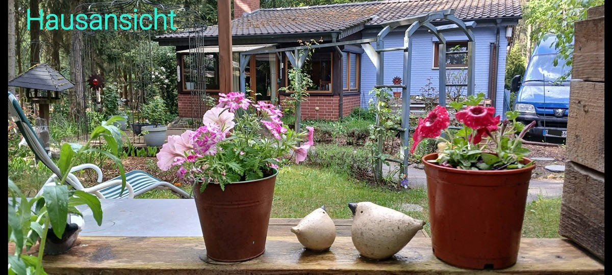 Haus im Wald bei Bienenbüttel auf Eigentumsland