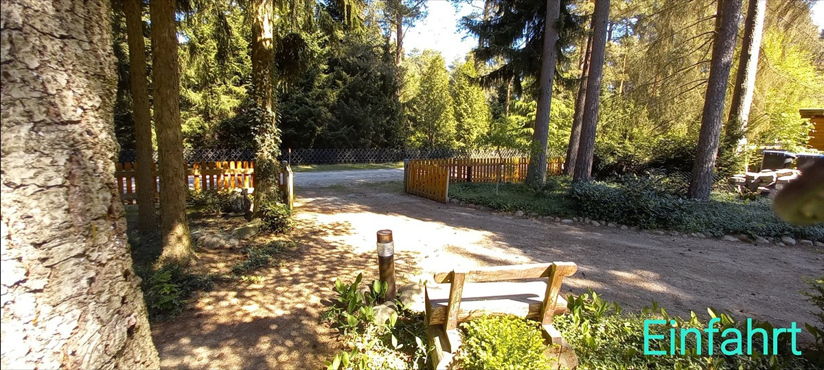 Haus im Wald bei Bienenbüttel auf Eigentumsland – Bienenbüttel – Vorschaubild 6