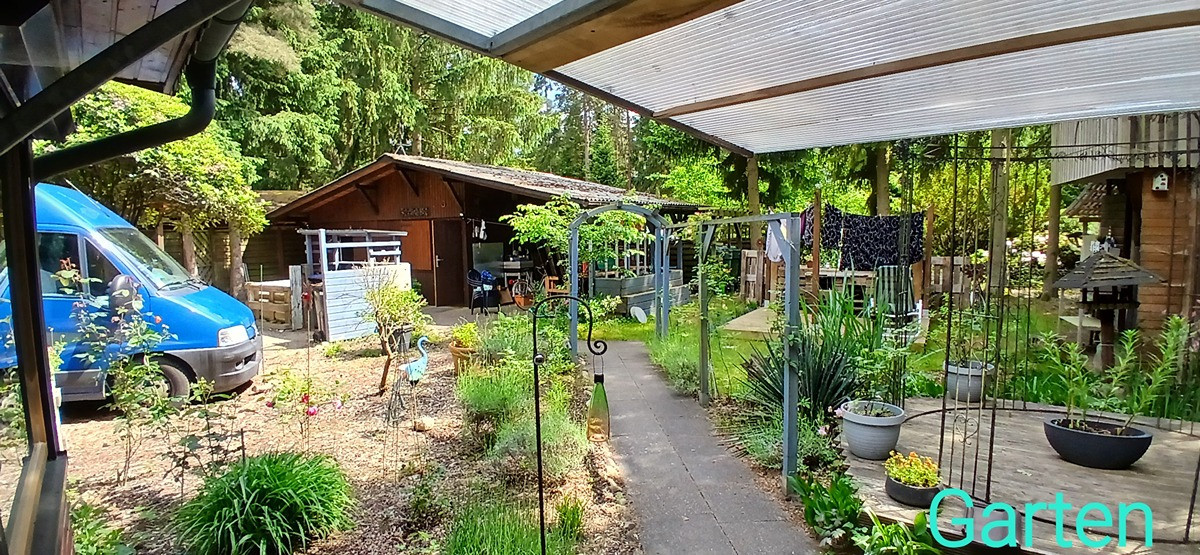 Haus im Wald bei Bienenbüttel auf Eigentumsland – Bienenbüttel – Vorschaubild 5