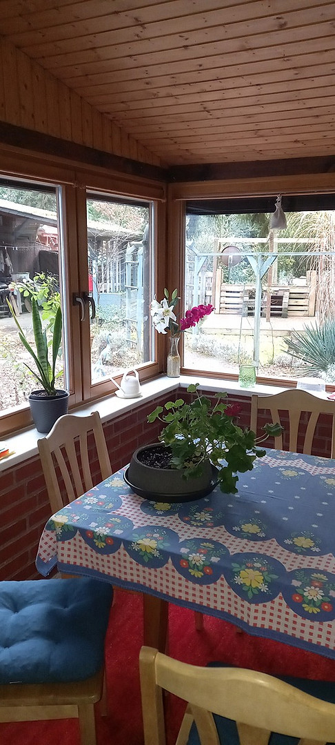 Haus im Wald bei Bienenbüttel auf Eigentumsland – Bienenbüttel – Vorschaubild 9