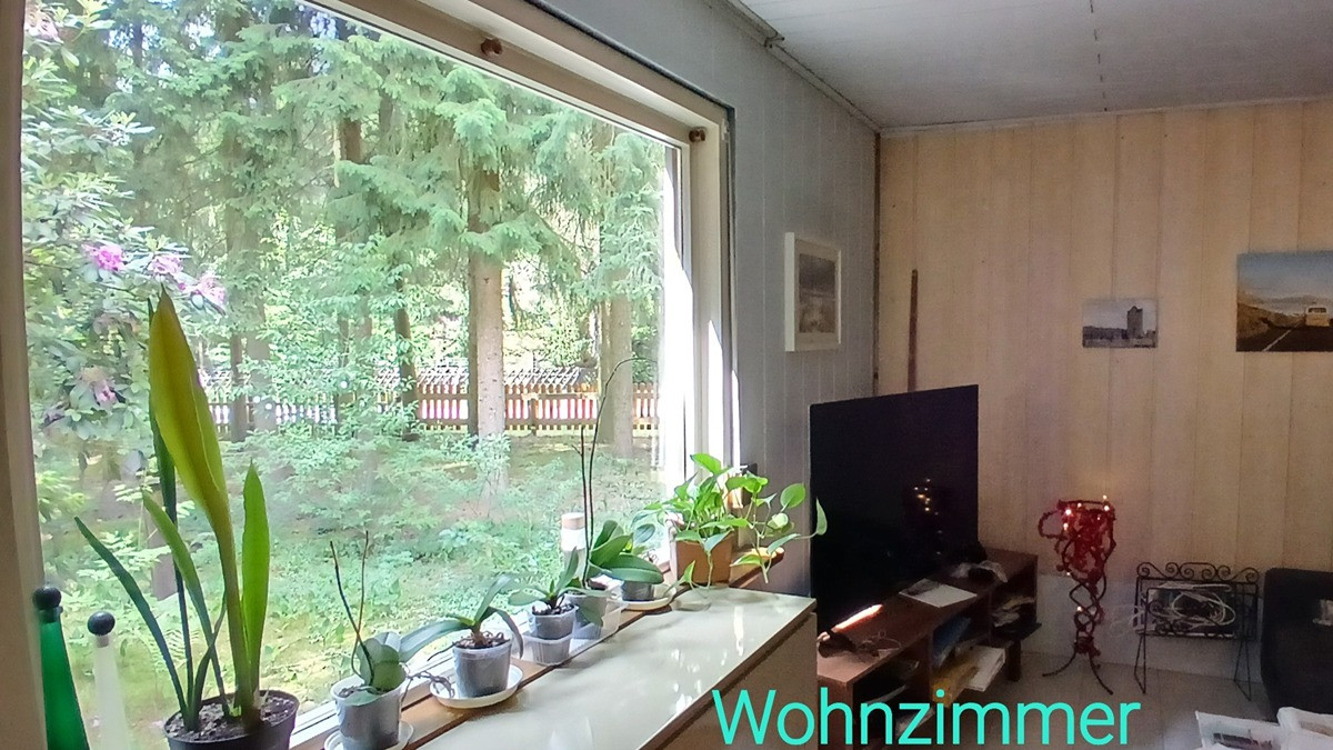 Haus im Wald bei Bienenbüttel auf Eigentumsland – Bienenbüttel – Vorschaubild 13