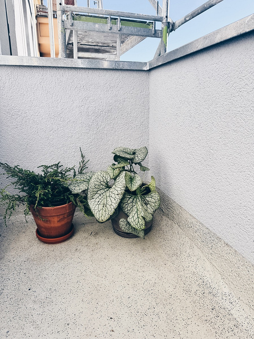 PROVISIONSFREI: Sanierte Altbauwohnung mit Balkon im Winsviertel – 10405 Berlin(Prenzlauer Berg) – Vorschaubild 14