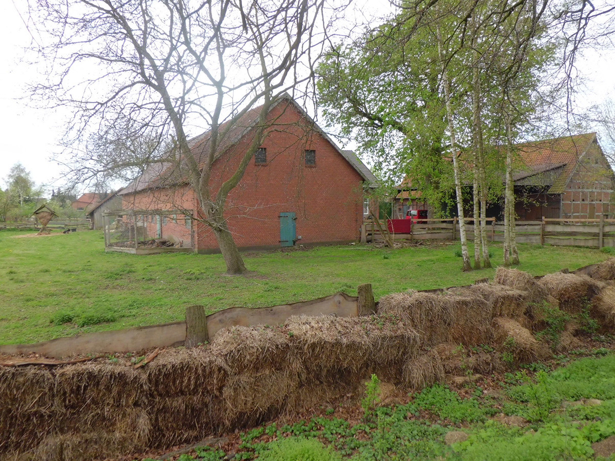 Resthof / Bauernhof mit Nebengebäuden und Grundstück an der Weser – Hauptstraße 17, 27324 Hassel(Hassel (Weser)) – Vorschaubild 4