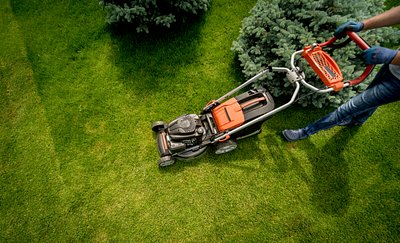 Gartenmitbenutzung Was darf ich und was nicht? Die Rechtslage