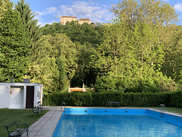 Wohnen im Schlosspark Seebenstein nahe Wien - Mitten im Park mit Pool